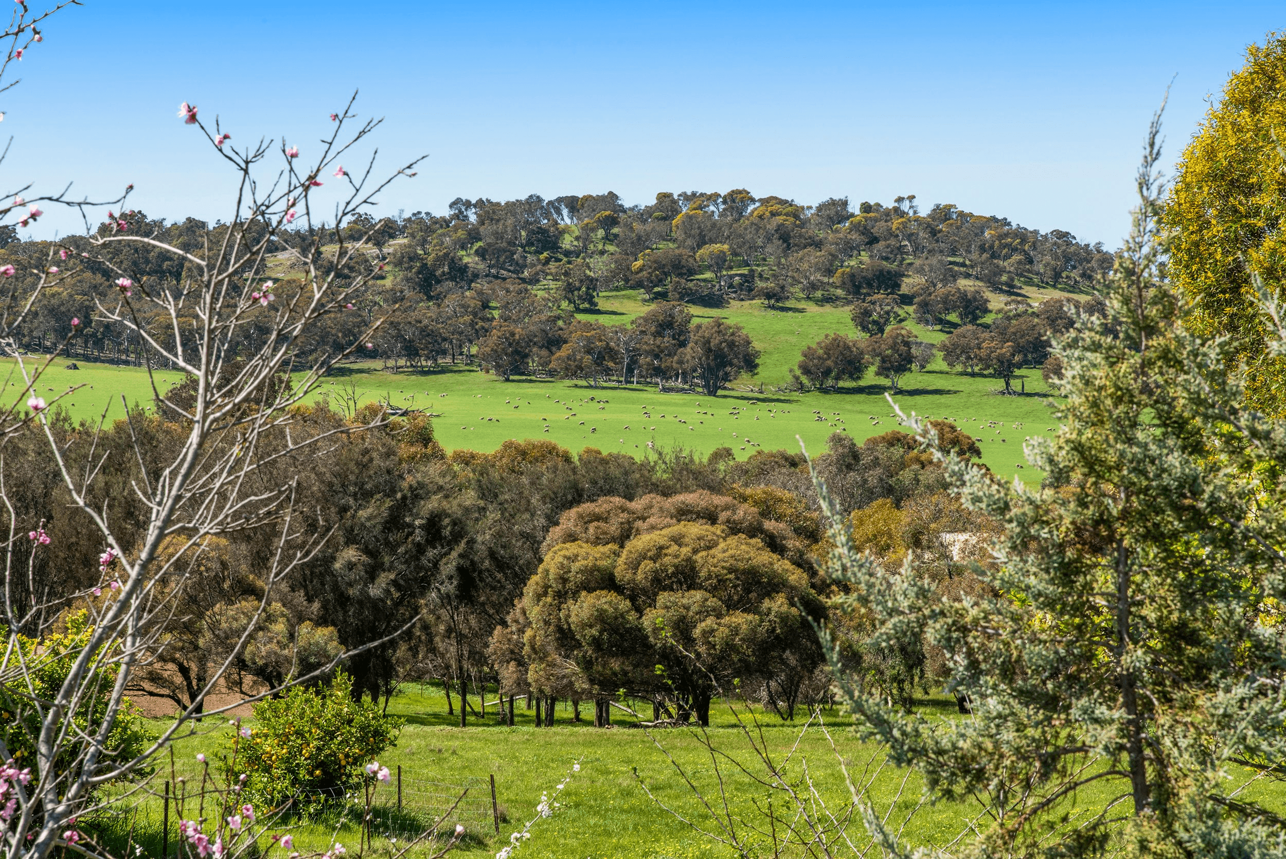 86 Blackboy Gully Road, WANDERING, WA 6308