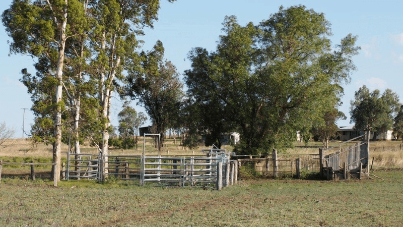 1448 Toowoomba Karara Road, Cambooya, QLD 4358