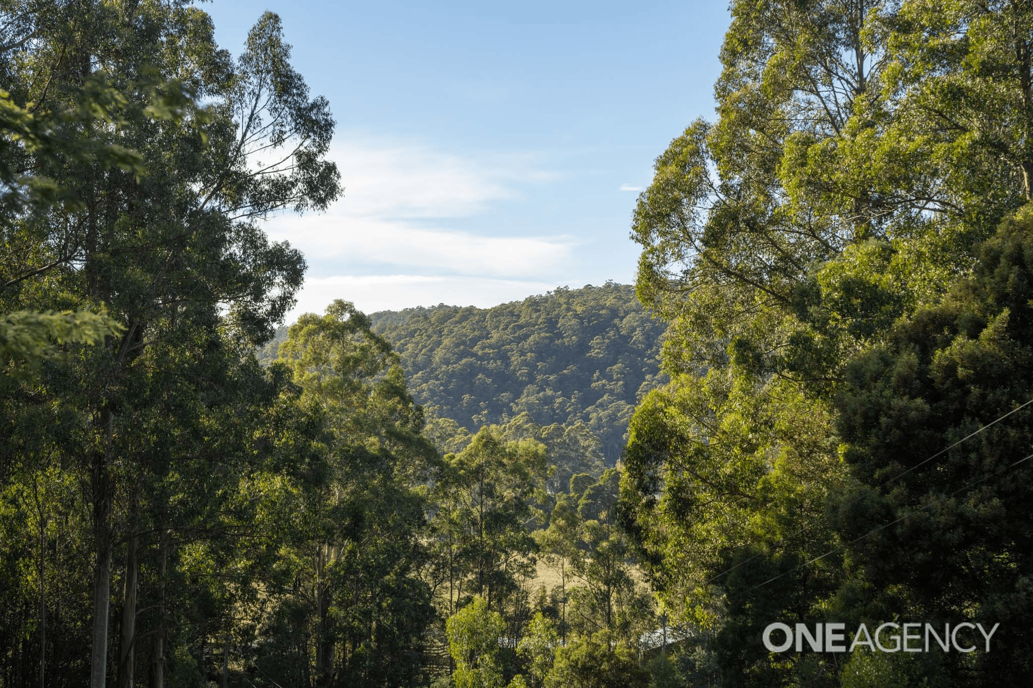 Lobster Creek Road, West Ulverstone, TAS 7315