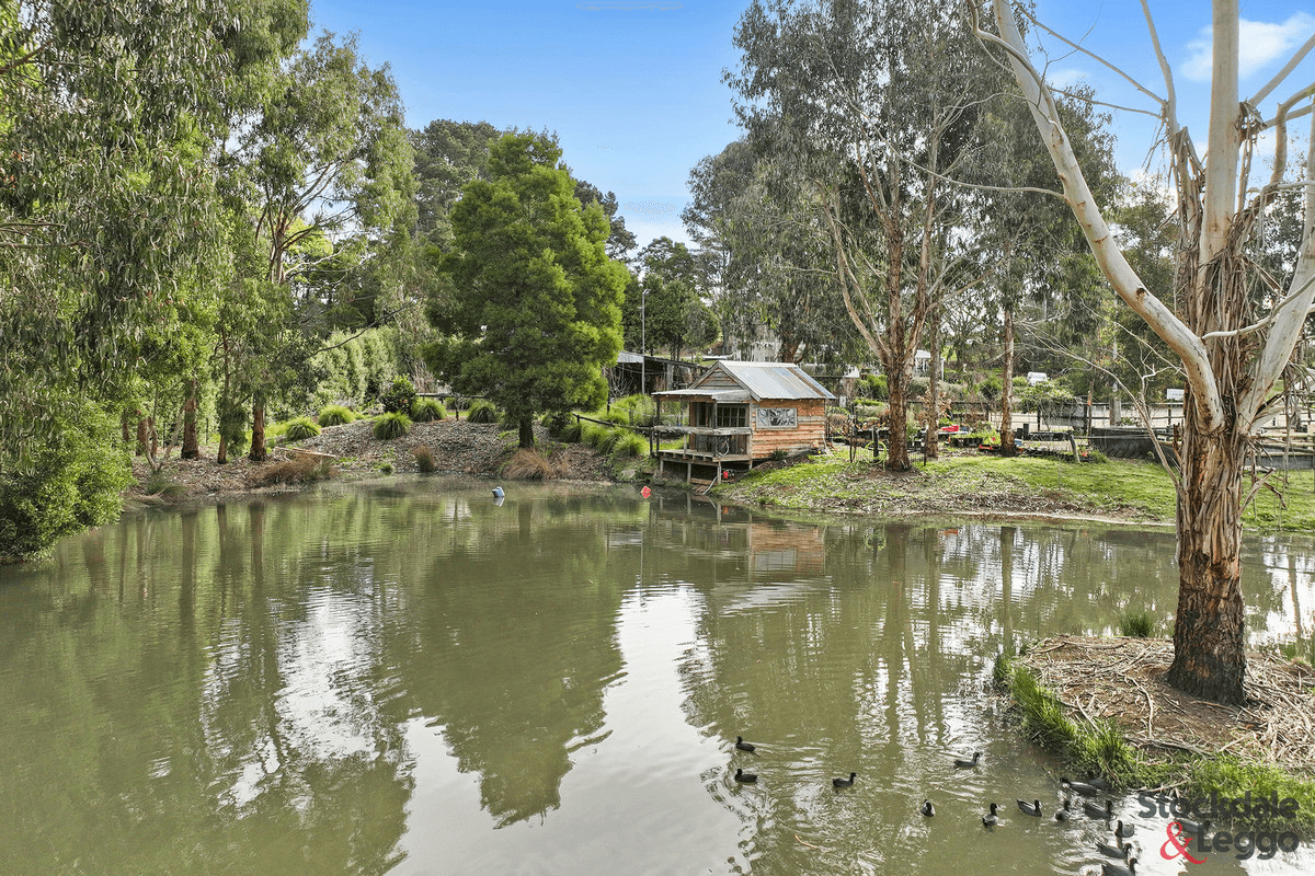 45 Pincinis Lane, Mirboo North, VIC 3871