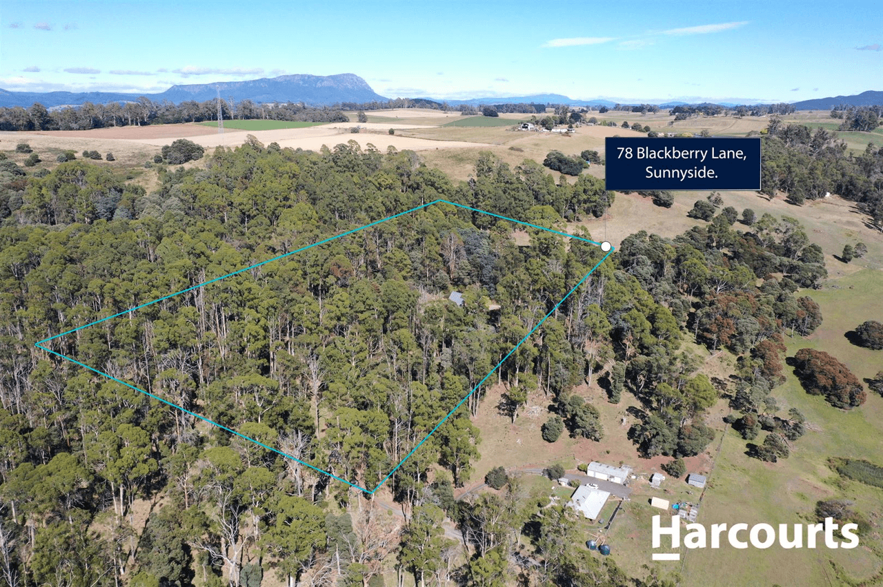 78 Blackberry Lane,, Sunnyside, TAS 7305