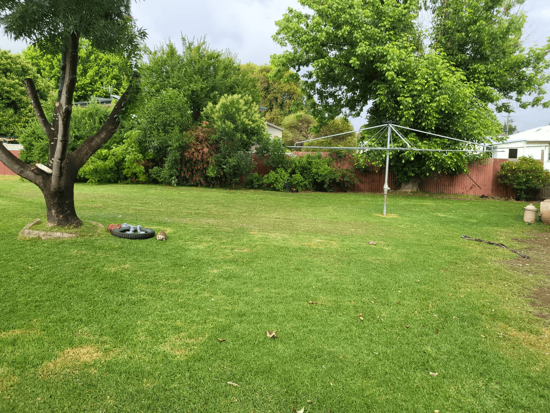 70 Edwards Street, Coonabarabran, NSW 2357
