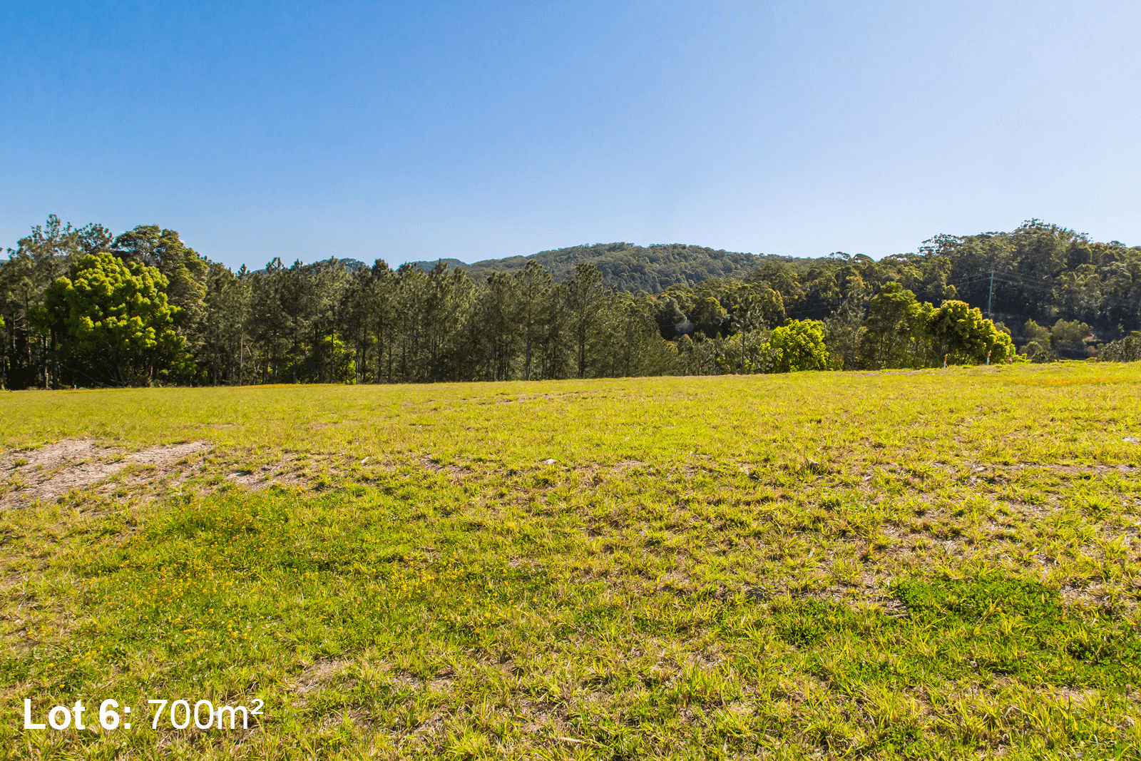 55 William Road, EUMUNDI, QLD 4562