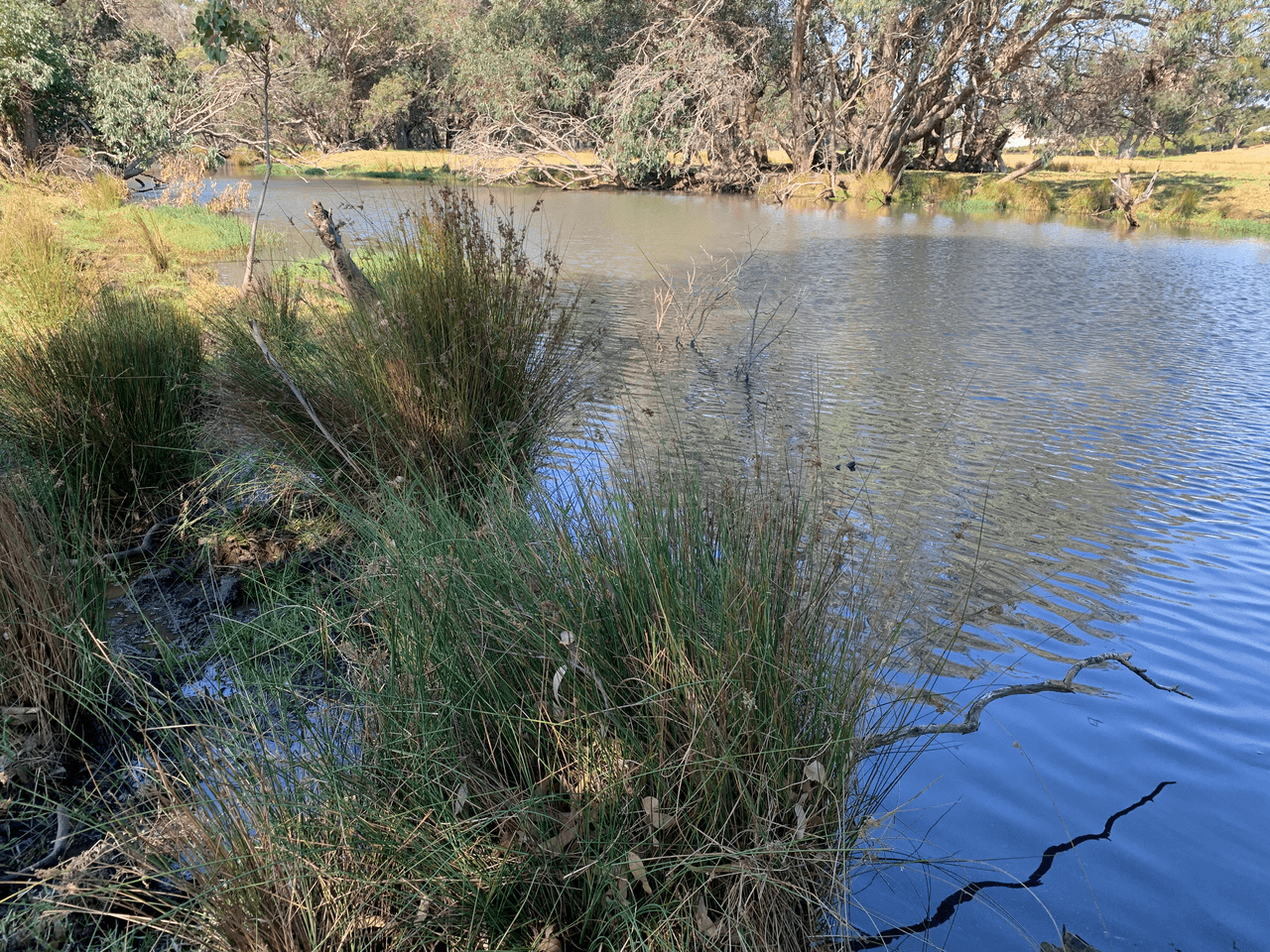 Lot 303 Off Hansen Road, STIRLING ESTATE, WA 6271