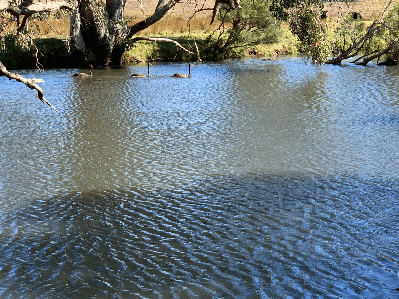 Lot 303 Off Hansen Road, STIRLING ESTATE, WA 6271