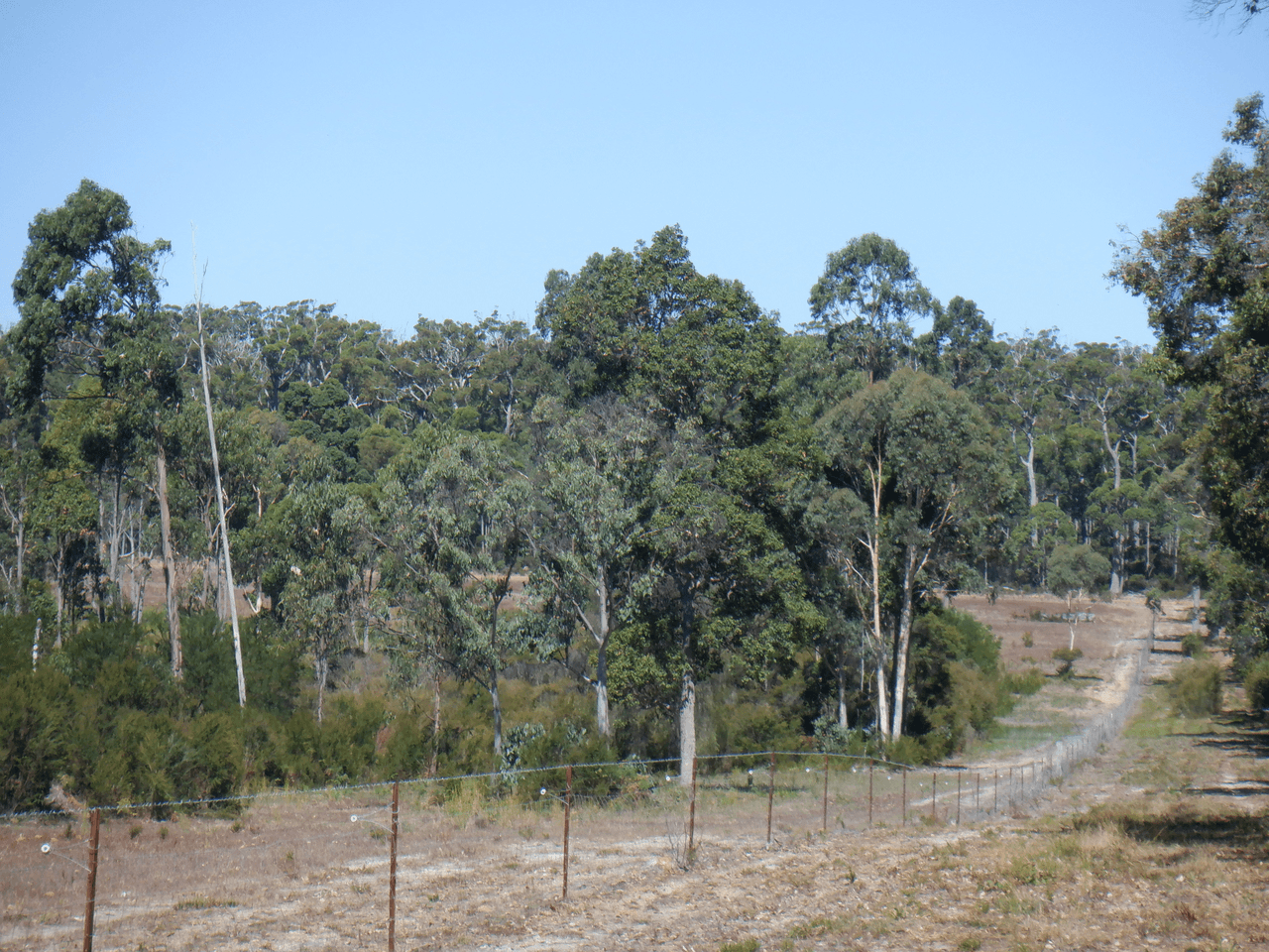 Lot 2 Off Big Hill Brook Road, NORTHCLIFFE, WA 6262