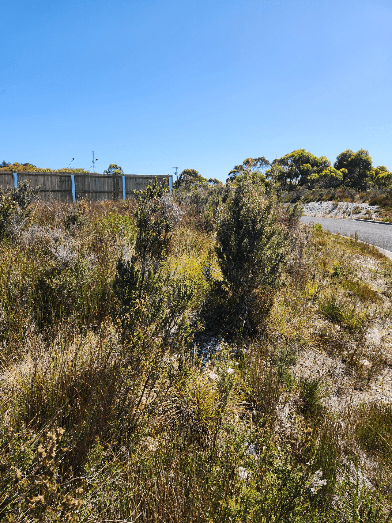 38 Sarson Close, STRAHAN, TAS 7468