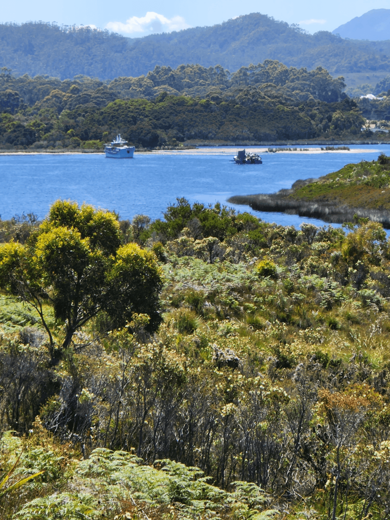 38 Sarson Close, STRAHAN, TAS 7468