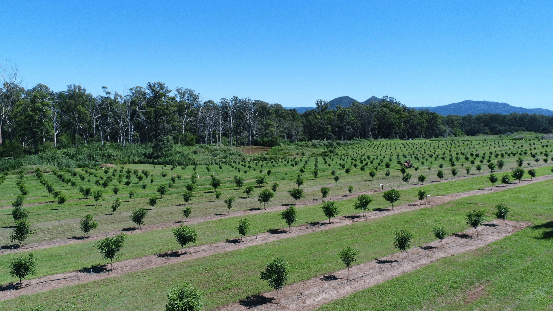 75 Youngs Rd, Glass House Mountains, QLD 4518