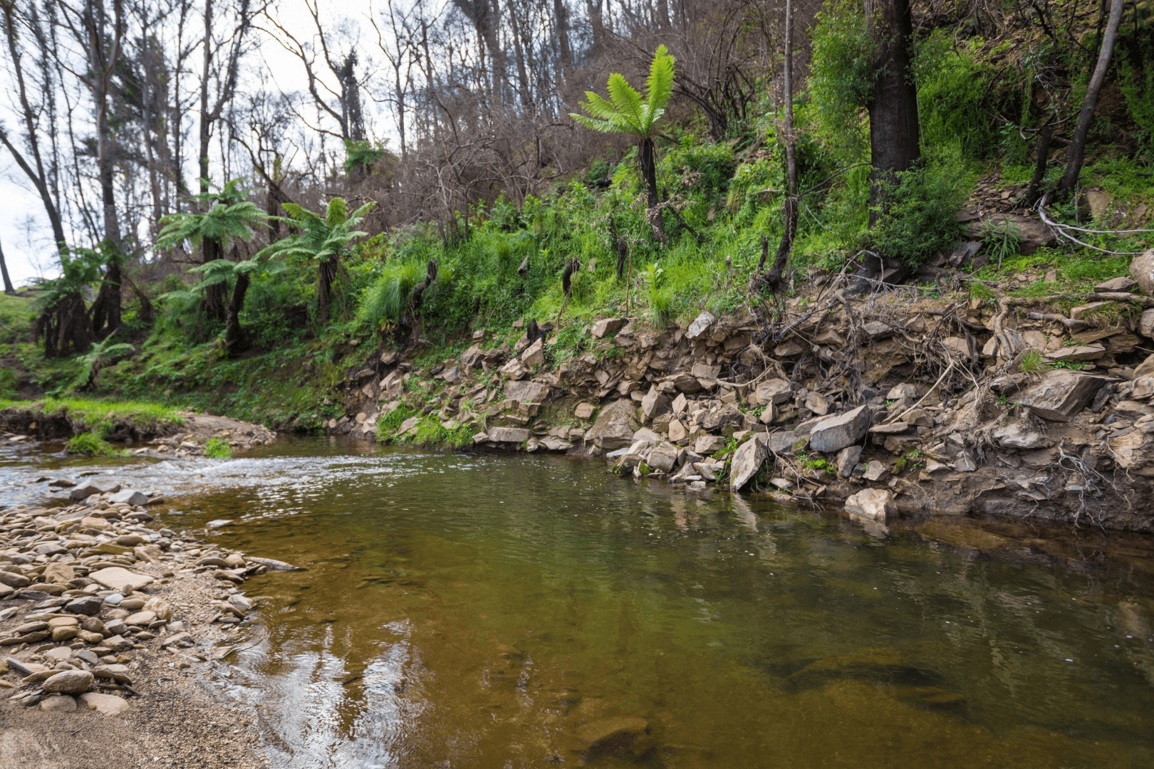 2685 Eurobodalla Road, Bodalla, NSW 2545