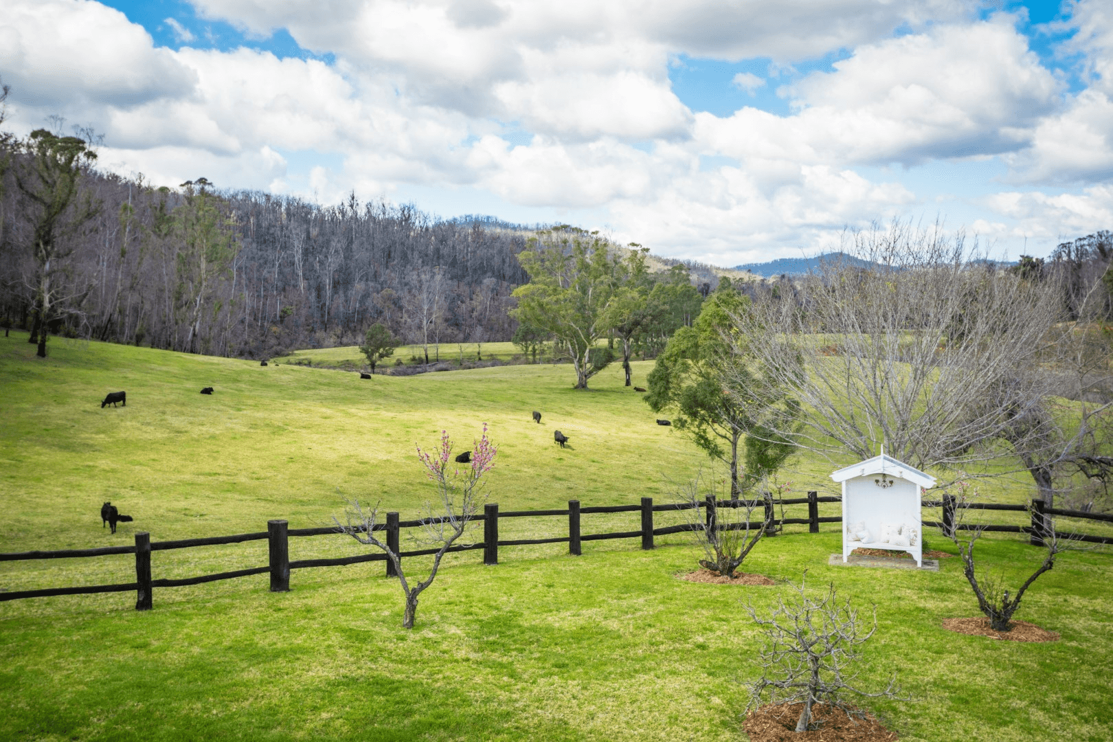 2685 Eurobodalla Road, Bodalla, NSW 2545