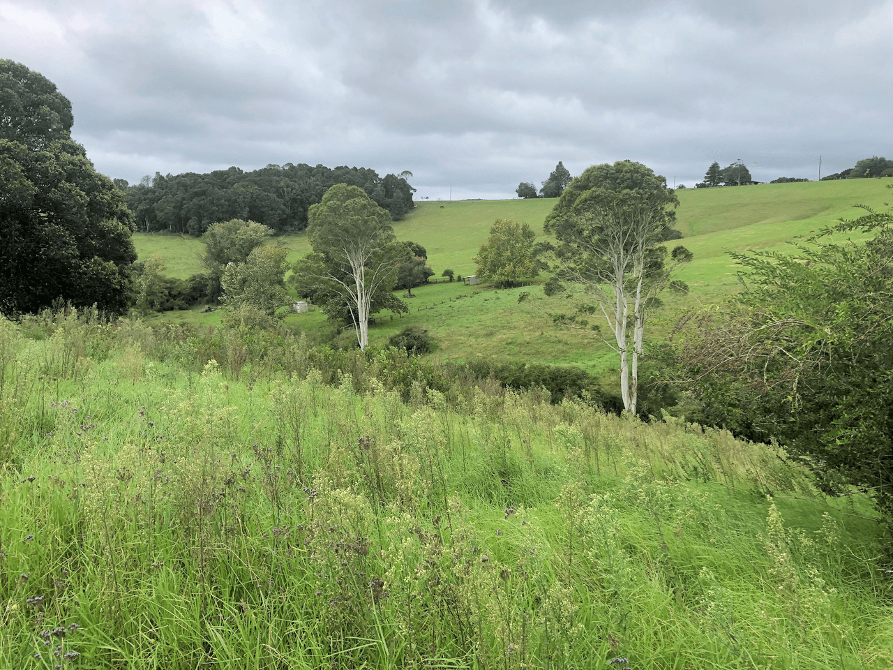 30 Kurrajong Street, DORRIGO, NSW 2453