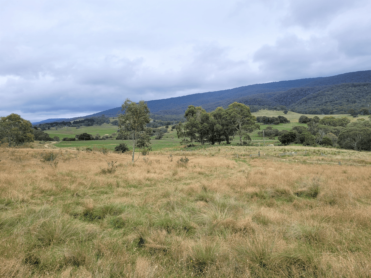 681 Hereford Hall Road, Hereford Hall via, BRAIDWOOD, NSW 2622