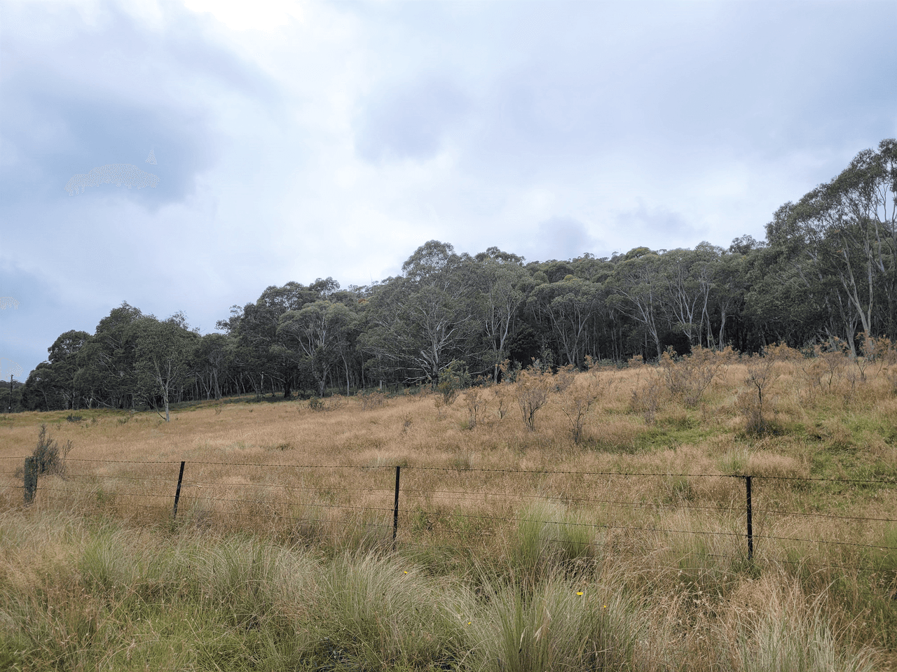 681 Hereford Hall Road, Hereford Hall via, BRAIDWOOD, NSW 2622