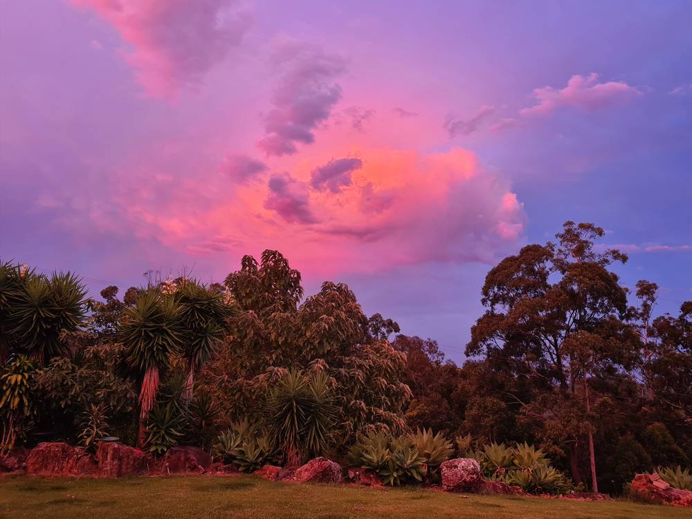 486 Brookhouse Road, Mortons Creek, NSW 2446