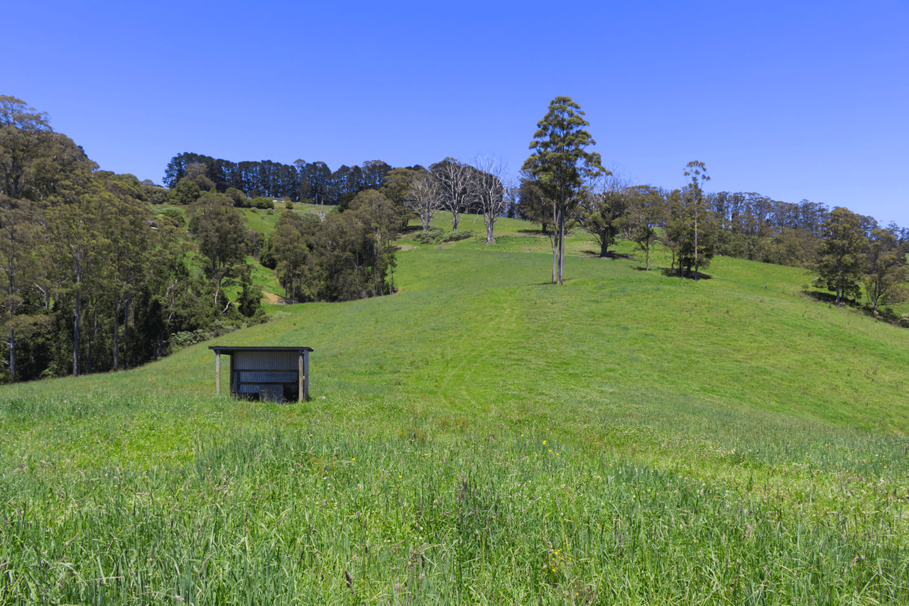 112 McIndoes Road, DORRIGO, NSW 2453