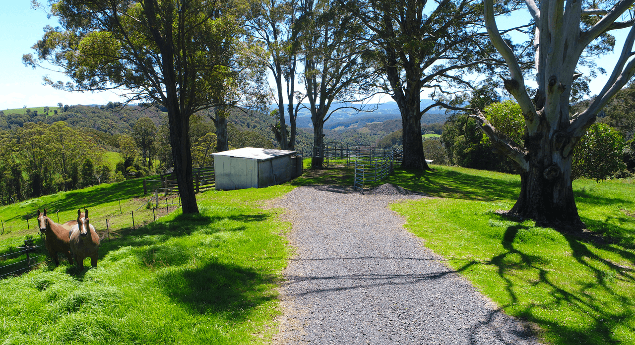 112 McIndoes Road, DORRIGO, NSW 2453