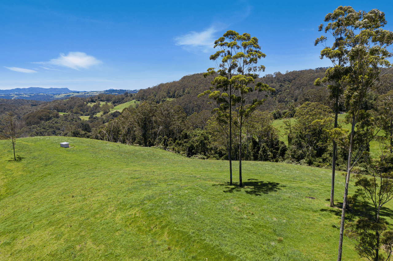 112 McIndoes Road, DORRIGO, NSW 2453