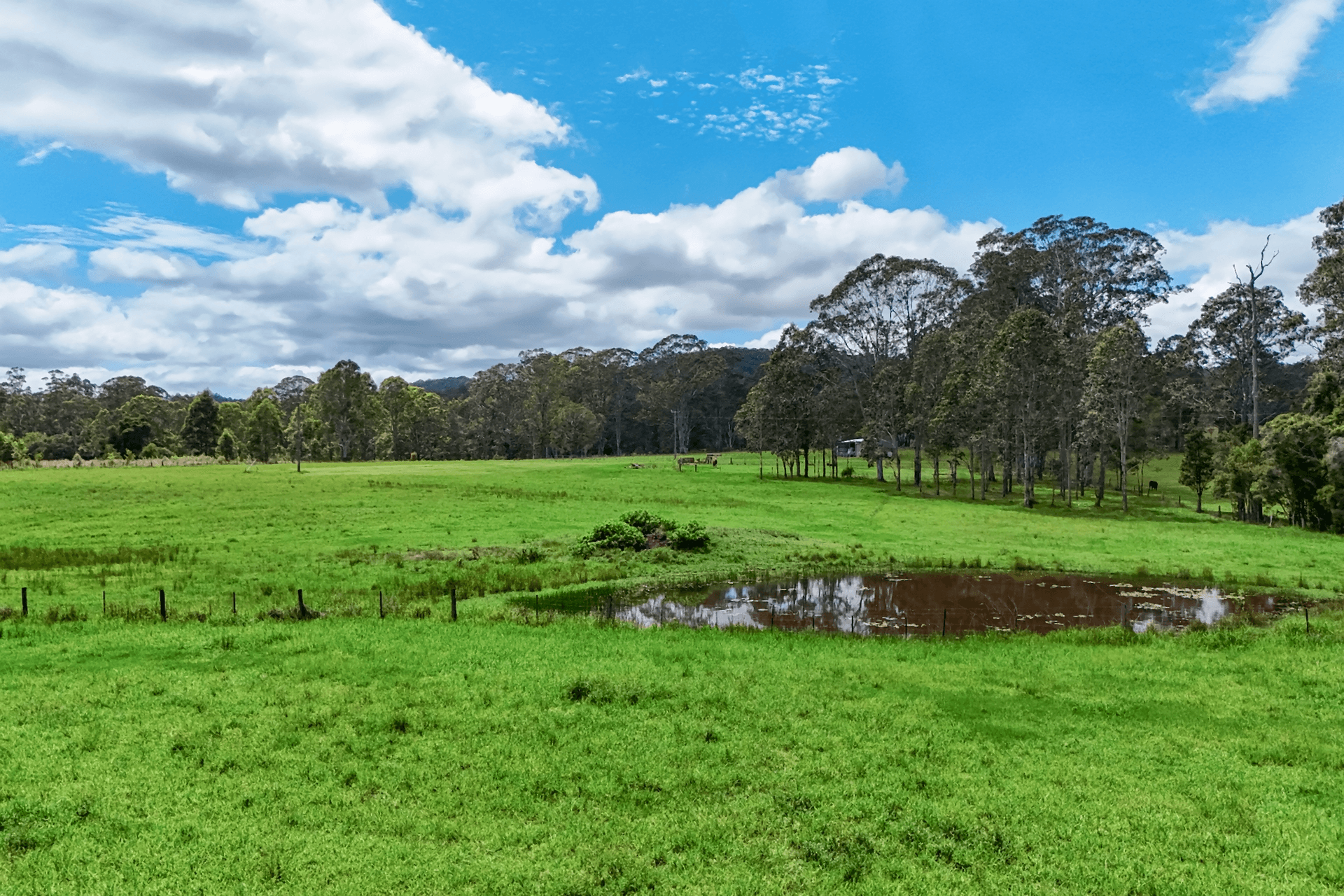 624 Mungay Creek Road, Mungay Creek, NSW 2440