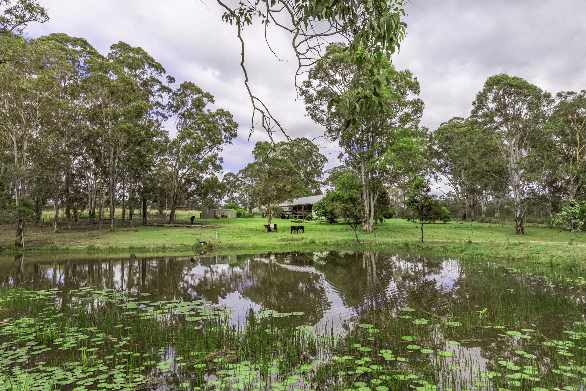 624 Mungay Creek Road, Mungay Creek, NSW 2440