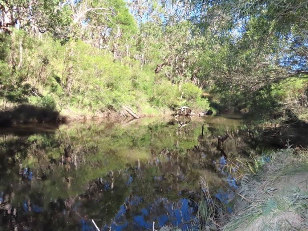 764 Rivertree Road, LISTON, NSW 2372