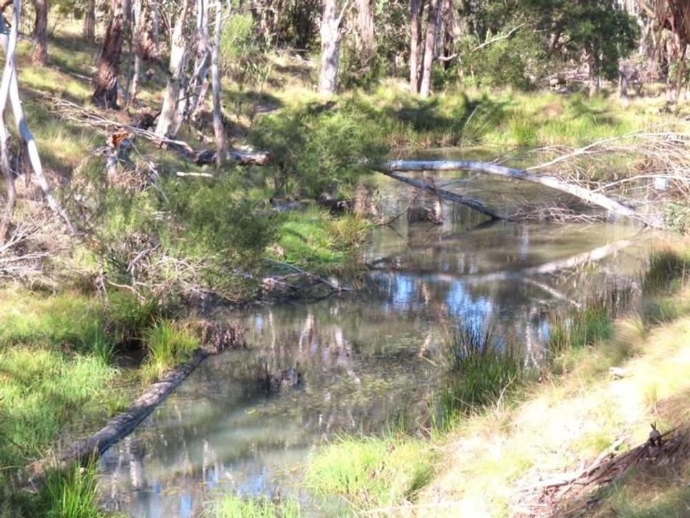 764 Rivertree Road, LISTON, NSW 2372