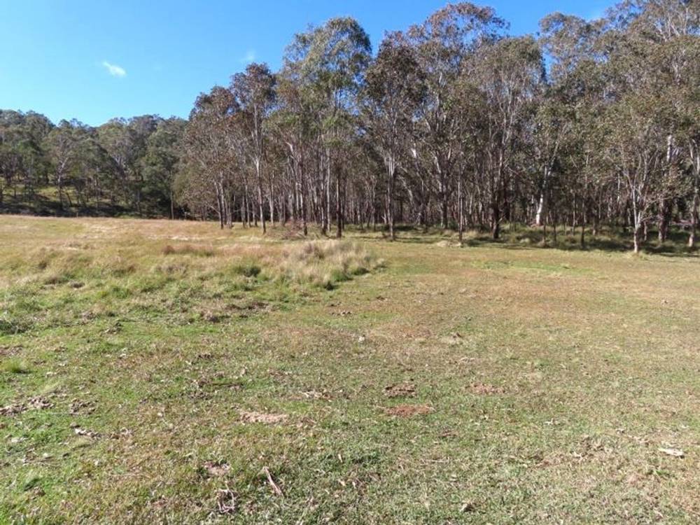 764 Rivertree Road, LISTON, NSW 2372