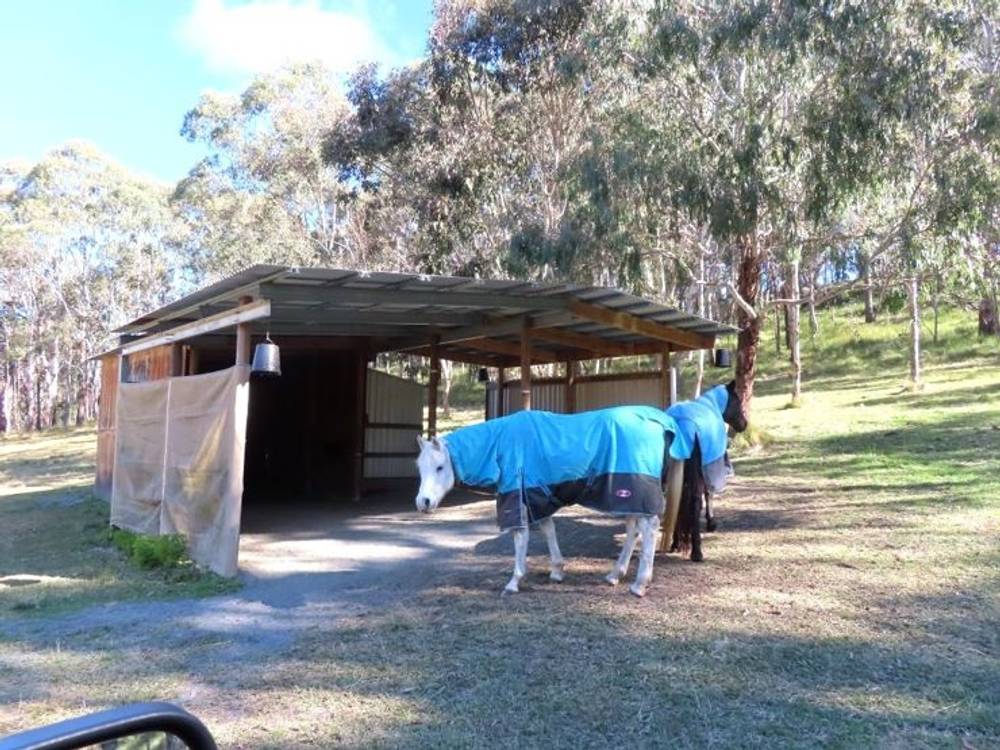 764 Rivertree Road, LISTON, NSW 2372