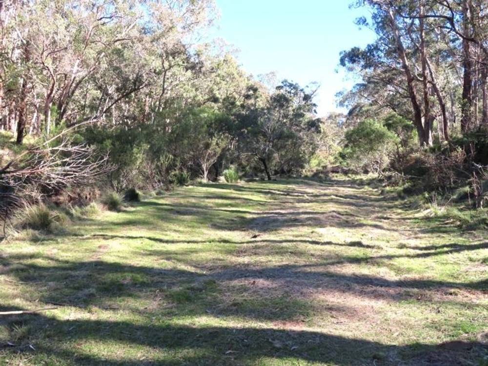 764 Rivertree Road, LISTON, NSW 2372