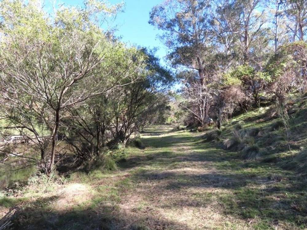 764 Rivertree Road, LISTON, NSW 2372