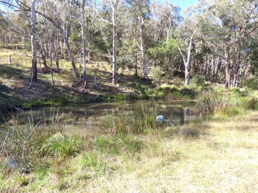 764 Rivertree Road, LISTON, NSW 2372