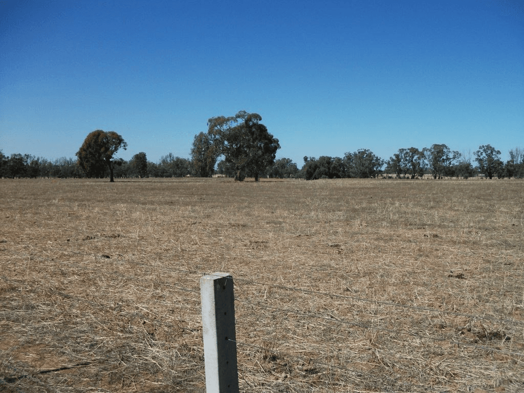 924 Old Deniliquin Road, Moama, NSW 2731