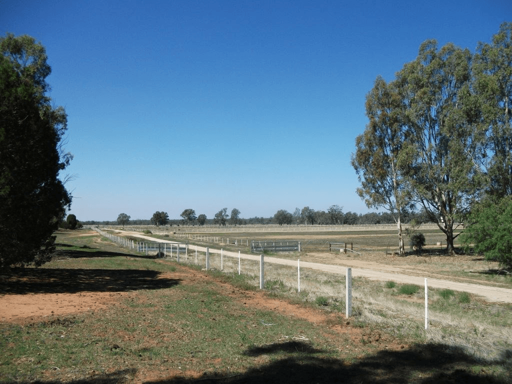 924 Old Deniliquin Road, Moama, NSW 2731