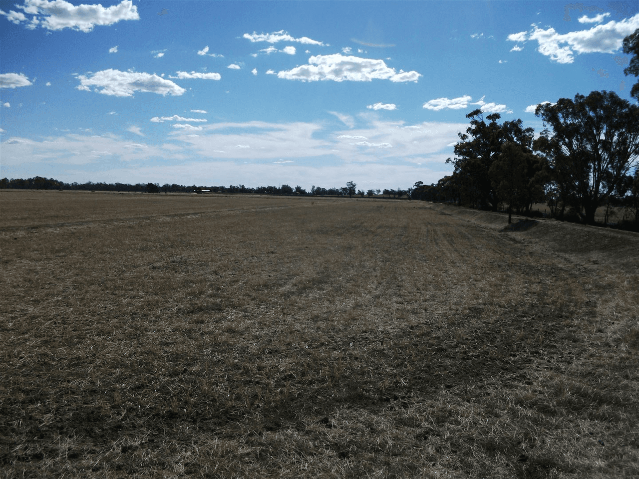 924 Old Deniliquin Road, Moama, NSW 2731