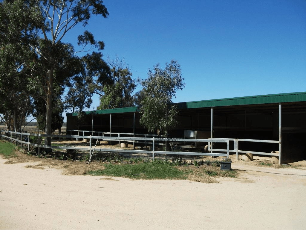 924 Old Deniliquin Road, Moama, NSW 2731