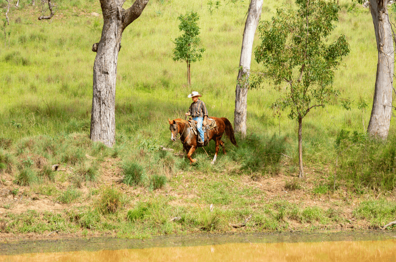 242 Golf Club Lane, Killarney, QLD 4373