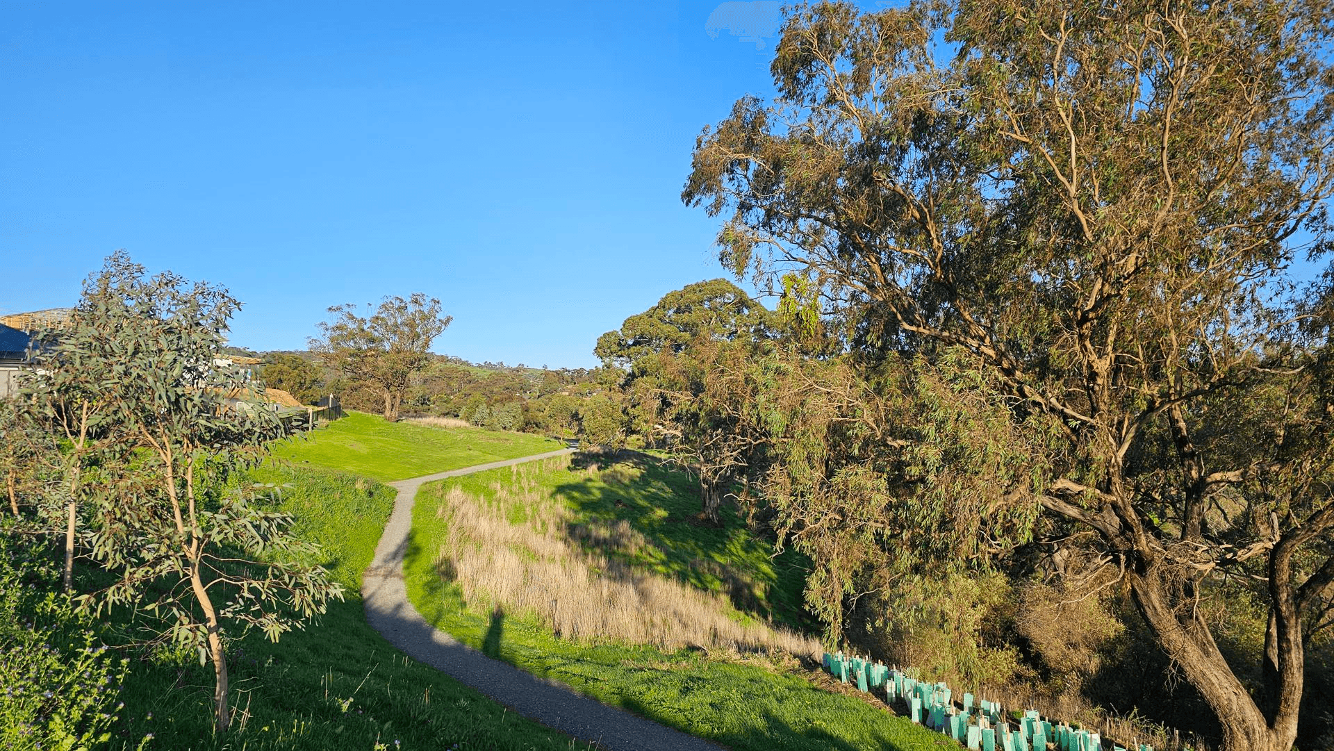 107 Blackwood Park Boulevard, Craigburn Farm, SA 5051