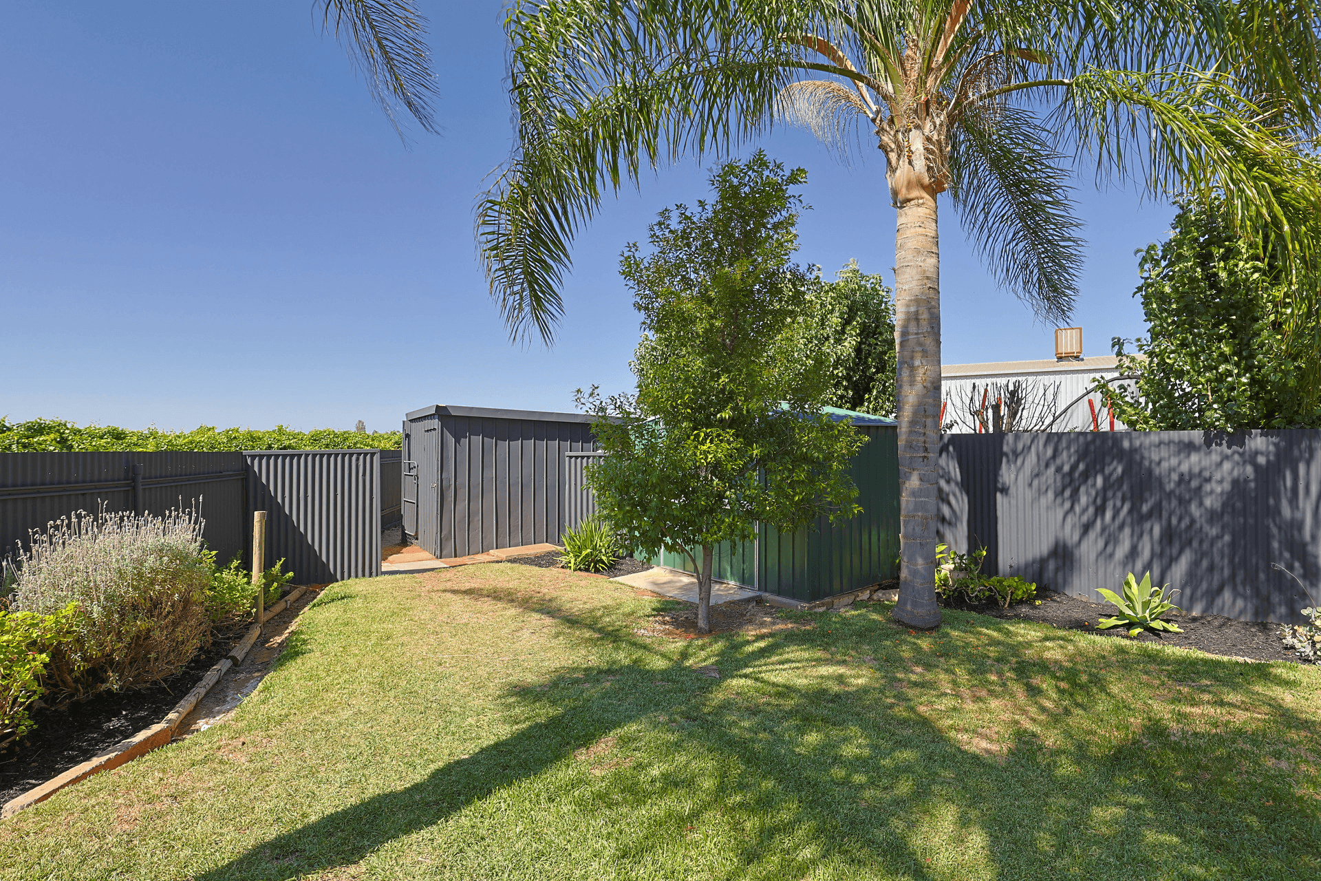 3 Murray Avenue, Red Cliffs, VIC 3496