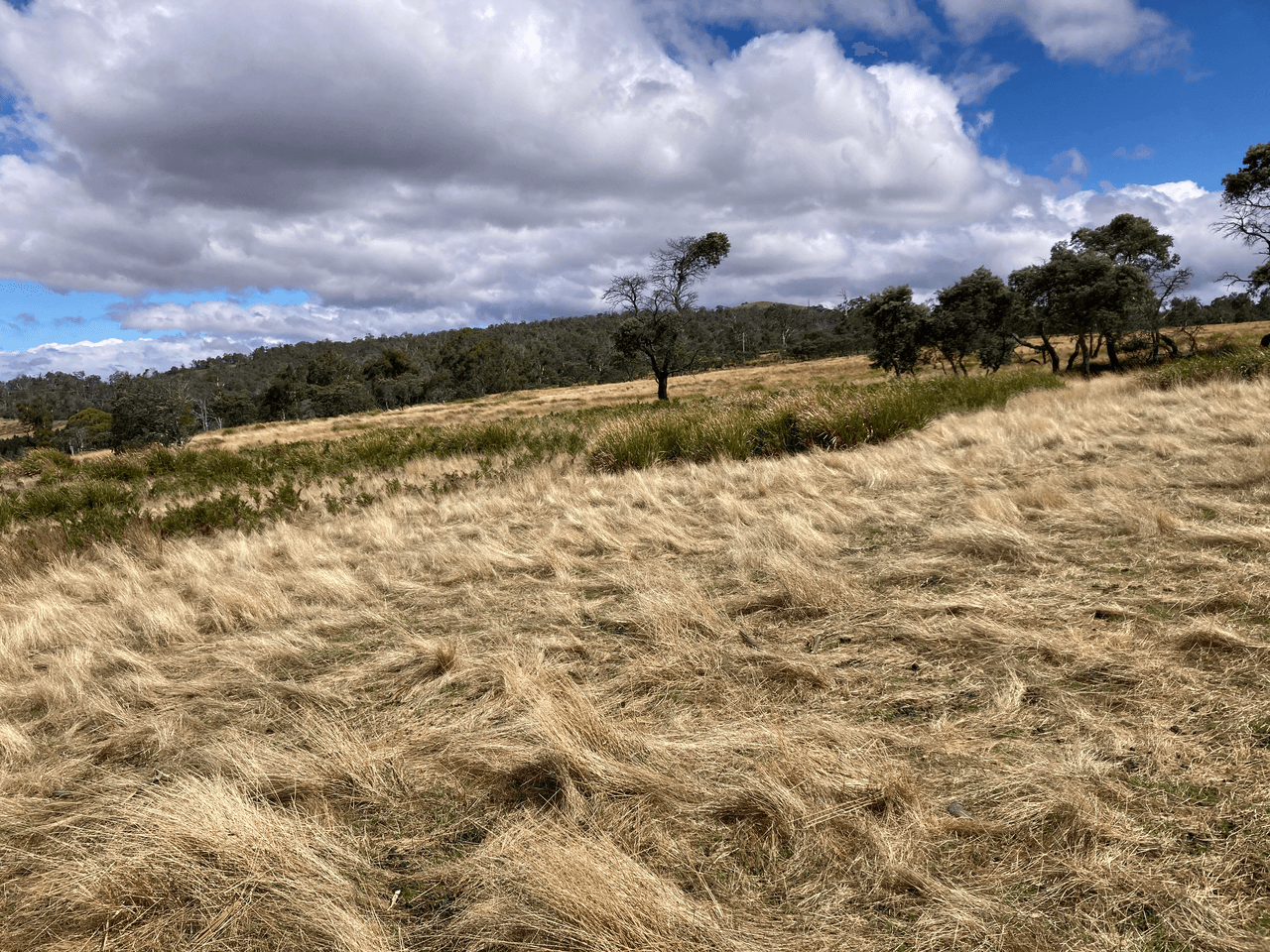 . Rotherwood Road, LOWER MARSHES, TAS 7030