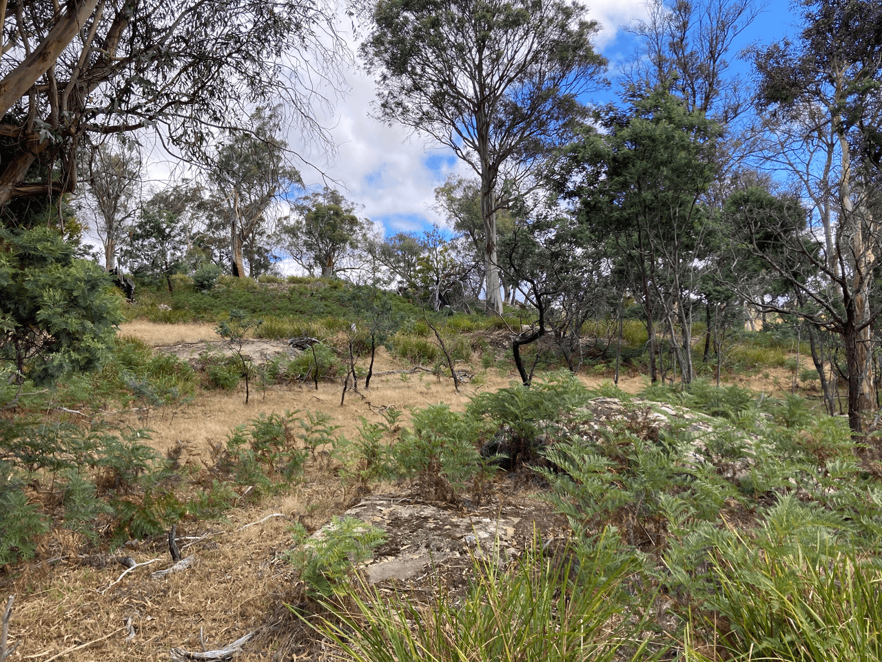 . Rotherwood Road, LOWER MARSHES, TAS 7030