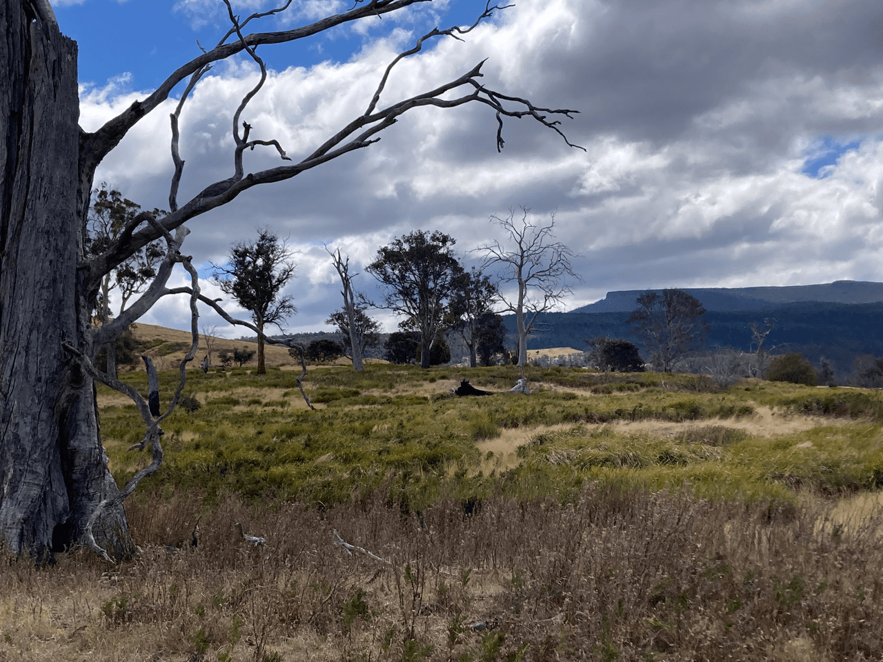 . Rotherwood Road, LOWER MARSHES, TAS 7030