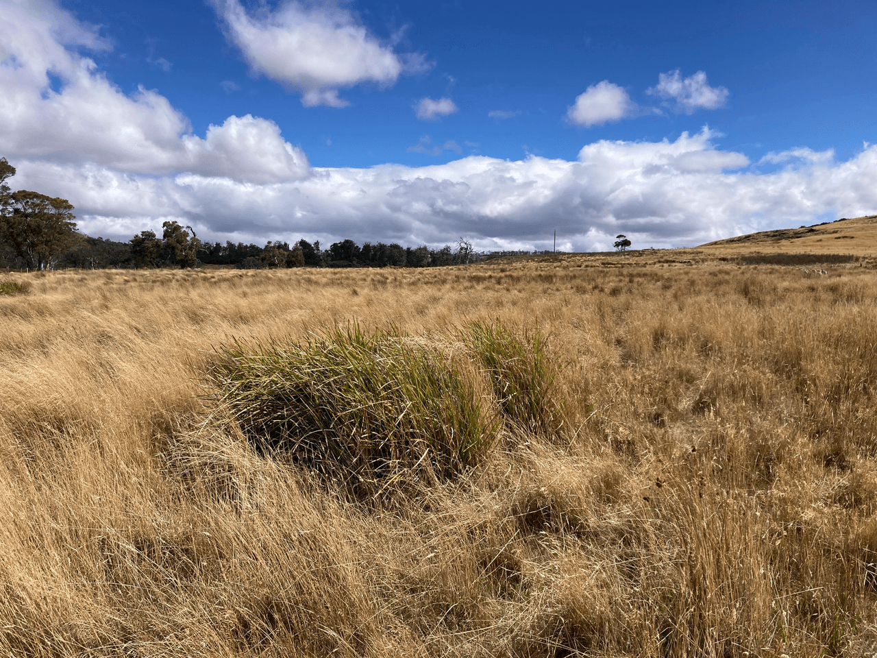 . Rotherwood Road, LOWER MARSHES, TAS 7030