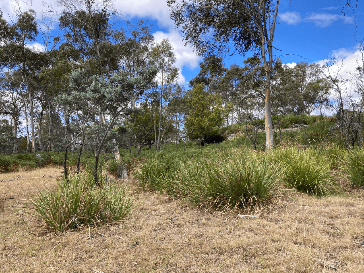 . Rotherwood Road, LOWER MARSHES, TAS 7030