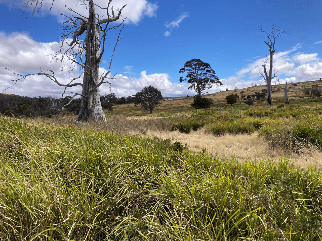 . Rotherwood Road, LOWER MARSHES, TAS 7030