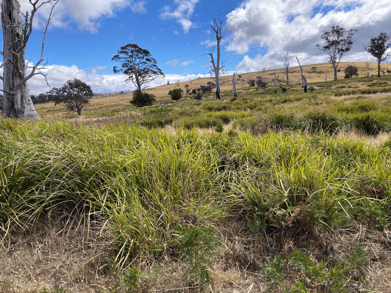 . Rotherwood Road, LOWER MARSHES, TAS 7030