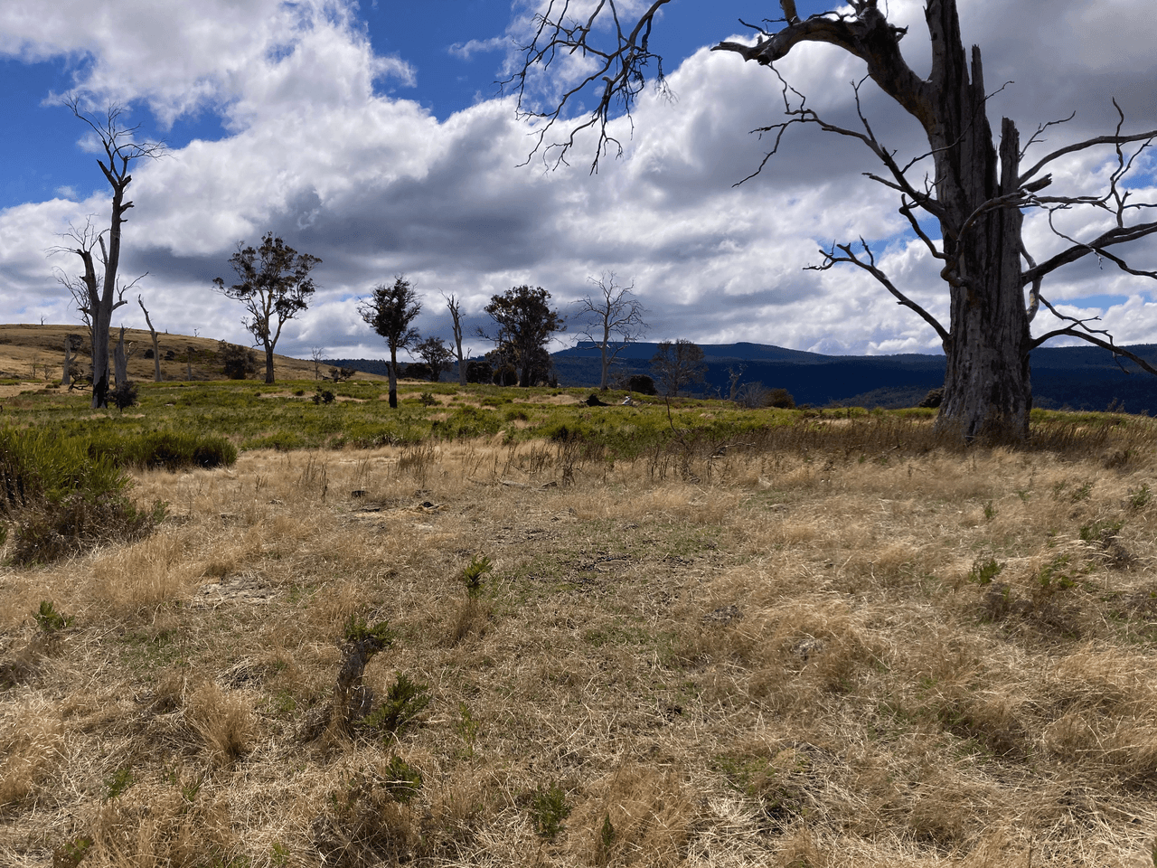 . Rotherwood Road, LOWER MARSHES, TAS 7030