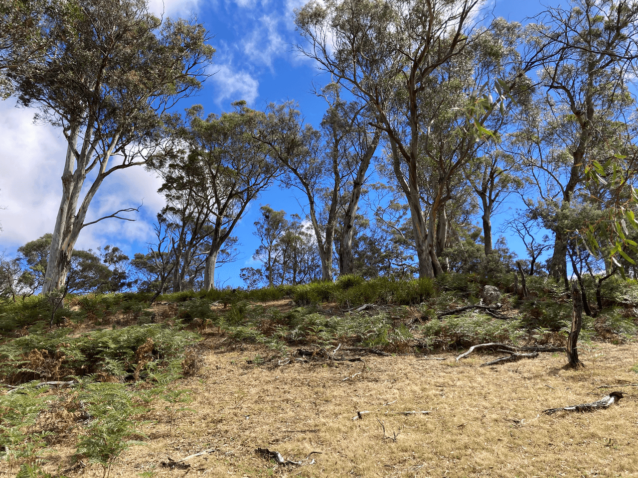 . Rotherwood Road, LOWER MARSHES, TAS 7030