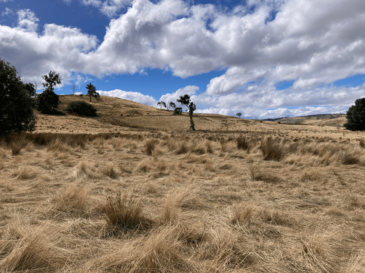 . Rotherwood Road, LOWER MARSHES, TAS 7030