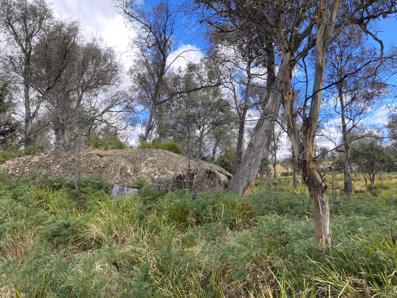 . Rotherwood Road, LOWER MARSHES, TAS 7030