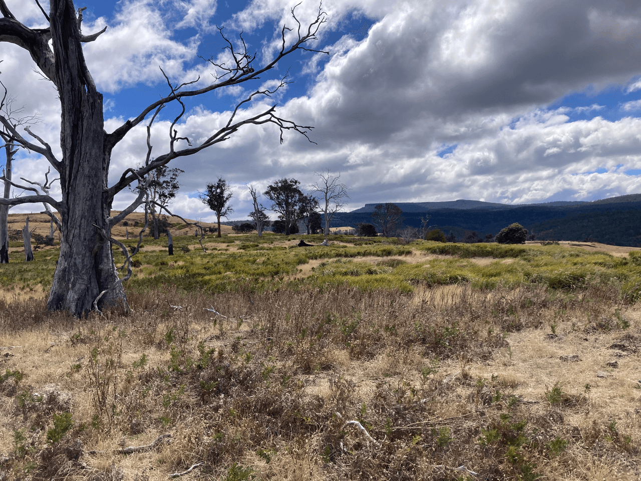 . Rotherwood Road, LOWER MARSHES, TAS 7030